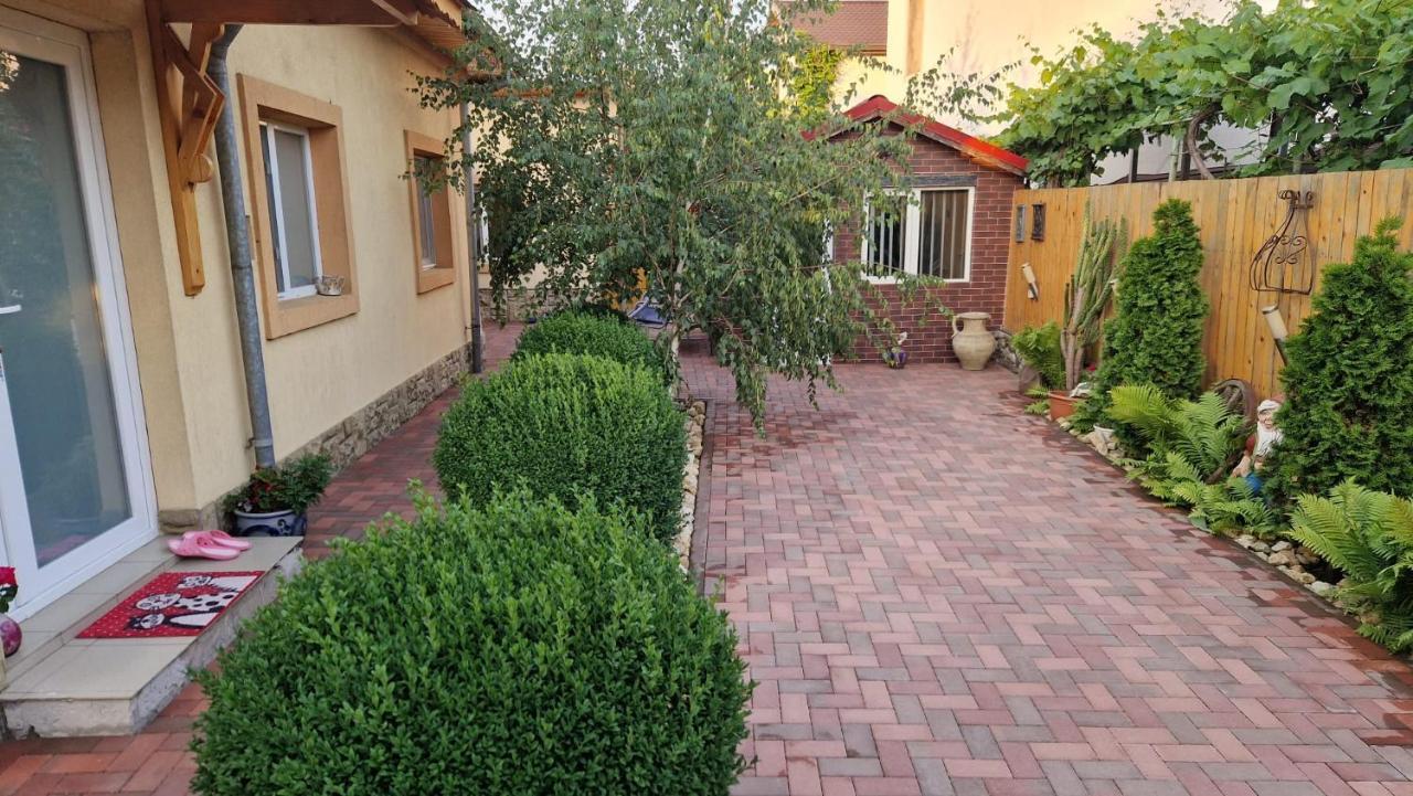 Casa Teo Ξενοδοχείο Μπουζάου Εξωτερικό φωτογραφία